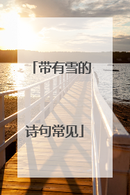 带有雪的诗句常见