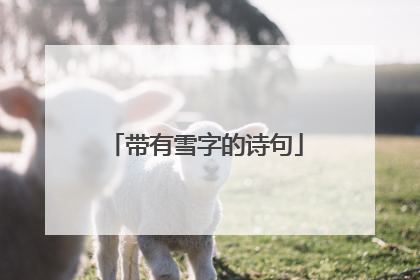 带有雪字的诗句