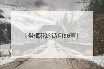 带梅花的诗句50首