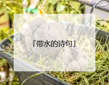 带水的诗句