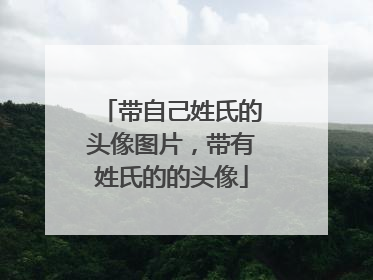 带自己姓氏的头像图片,带有姓氏的的头像