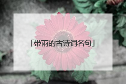 带雨的古诗词名句