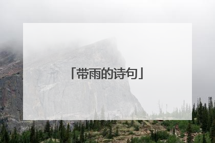 带雨的诗句