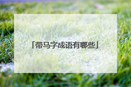 带马字成语有哪些