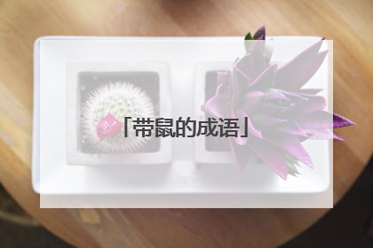 带鼠的成语