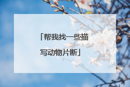 帮我找一些描写动物片断