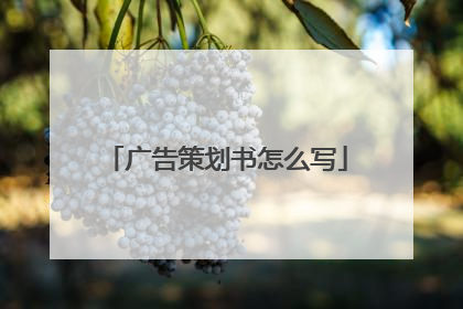 广告策划书怎么写