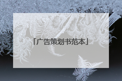 广告策划书范本