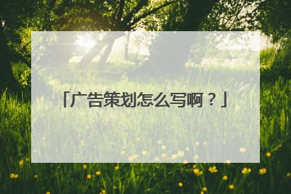 广告策划怎么写啊?