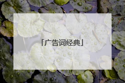 广告词经典