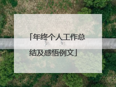 年终个人工作总结及感悟例文
