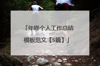 年终个人工作总结模板范文【5篇】