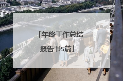 年终工作总结报告书5篇