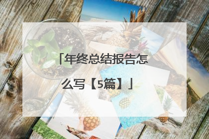 年终总结报告怎么写【5篇】