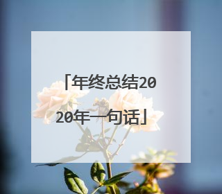 年终总结2020年一句话