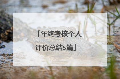 年终考核个人评价总结5篇