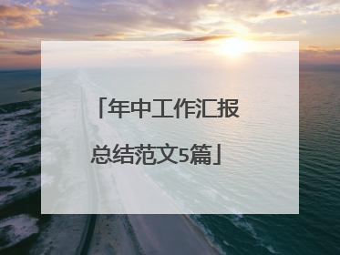 年中工作汇报总结范文5篇