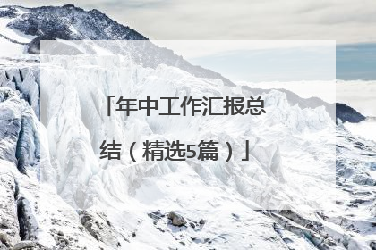 年中工作汇报总结（精选5篇）