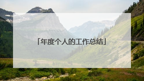 年度个人的工作总结