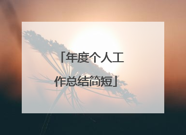 年度个人工作总结简短