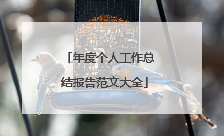 年度个人工作总结报告范文大全
