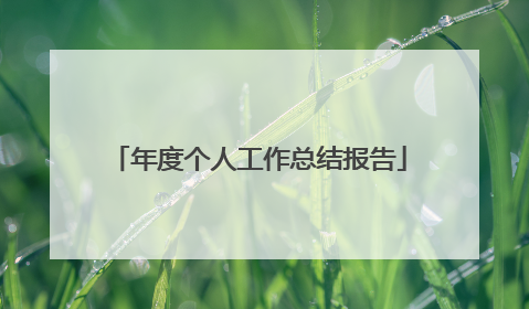 年度个人工作总结报告