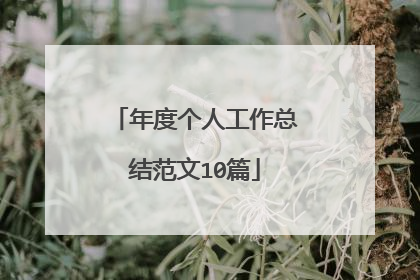 年度个人工作总结范文10篇