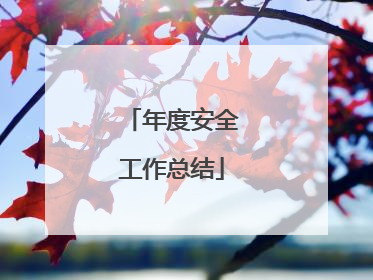 年度安全工作总结