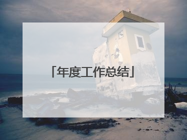 年度工作总结