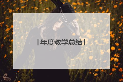 年度教学总结