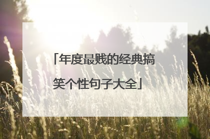 年度最贱的经典搞笑个性句子大全