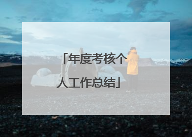 年度考核个人工作总结