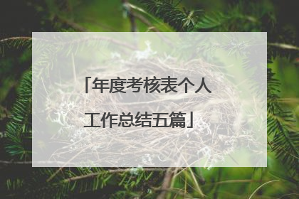 年度考核表个人工作总结五篇
