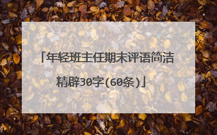 年轻班主任期末评语简洁精辟30字(60条)