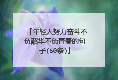 年轻人努力奋斗不负韶华不负青春的句子(60条)