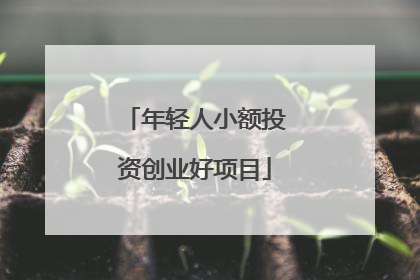 年轻人小额投资创业好项目