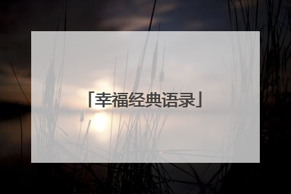 幸福经典语录