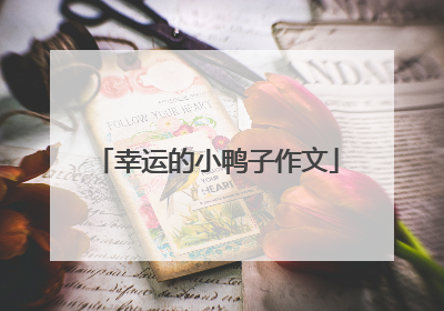 幸运的小鸭子作文