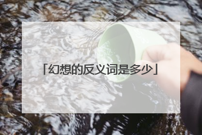 幻想的反义词是多少