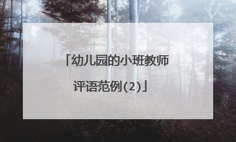 幼儿园的小班教师评语范例(2)