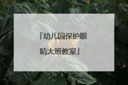 幼儿园保护眼睛大班教案