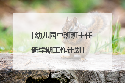 幼儿园中班班主任新学期工作计划