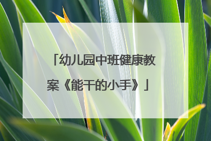 幼儿园中班健康教案《能干的小手》
