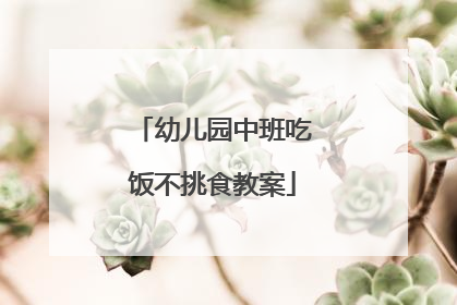 幼儿园中班吃饭不挑食教案