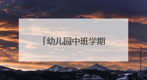 幼儿园中班学期工作总结5篇