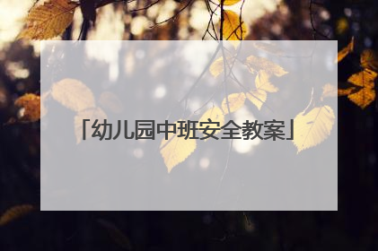 幼儿园中班安全教案
