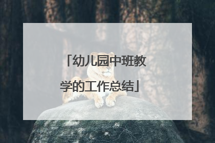 幼儿园中班教学的工作总结