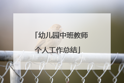 幼儿园中班教师个人工作总结