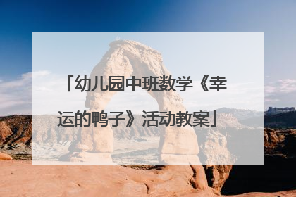 幼儿园中班数学《幸运的鸭子》活动教案