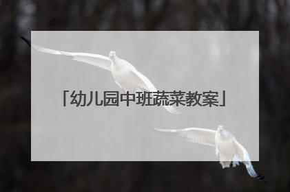 幼儿园中班蔬菜教案